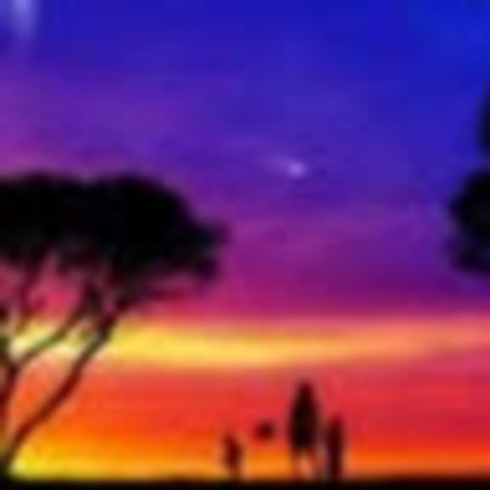 Meet your Posher, Nina